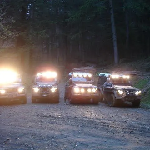 A line of 4x4s with lights on at dusk on a forest track